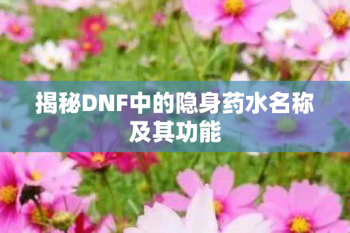 揭秘DNF中的隐身药水名称及其功能