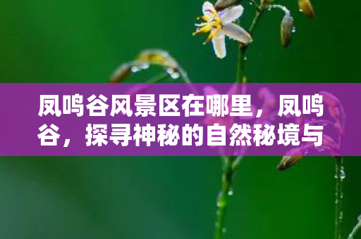 凤鸣谷风景区在哪里,凤鸣谷,探寻神秘的自然秘境与文化魅力 凤鸣谷风景区在哪里,凤鸣谷,探寻神秘的自然秘境与文化魅力