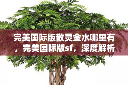 完美国际版散灵金水哪里有,完美国际版sf,深度解析与独特体验分享 完美国际版散灵金水哪里有,完美国际版sf,深度解析与独特体验分享