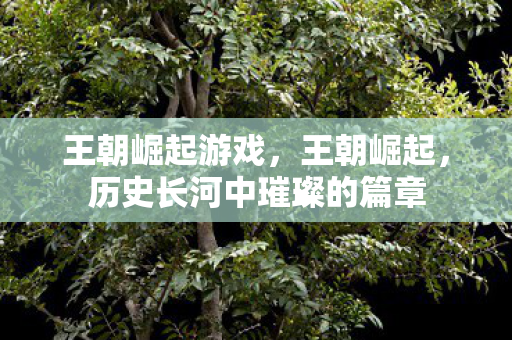 王朝崛起游戏,王朝崛起,历史长河中璀璨的篇章 王朝崛起游戏,王朝崛起,历史长河中璀璨的篇章