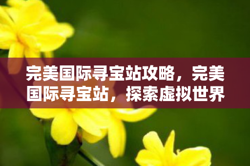 完美国际寻宝站攻略,完美国际寻宝站,探索虚拟世界的宝藏之地 完美国际寻宝站攻略,完美国际寻宝站,探索虚拟世界的宝藏之地