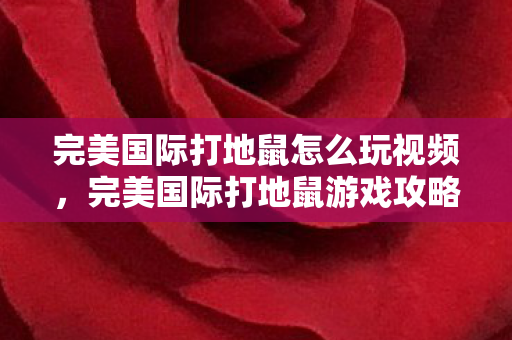 完美国际打地鼠怎么玩视频，完美国际打地鼠游戏攻略，玩转这个充满挑战的游戏