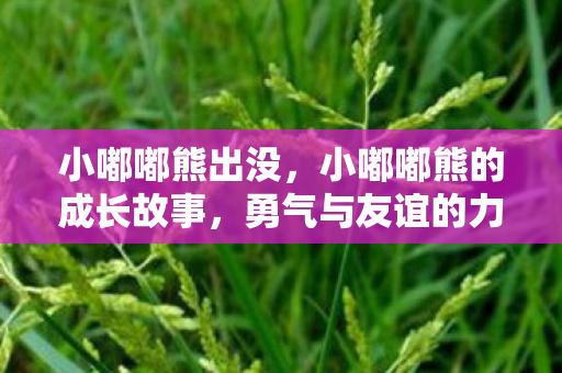 小嘟嘟熊出没，小嘟嘟熊的成长故事，勇气与友谊的力量