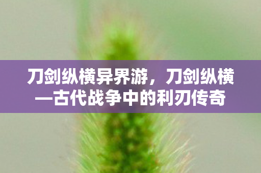 刀剑纵横异界游，刀剑纵横—古代战争中的利刃传奇