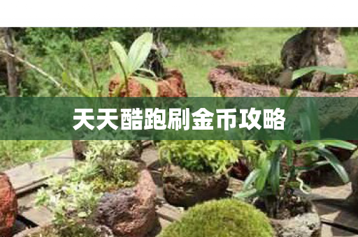 天天酷跑刷金币攻略 天天酷跑刷金币攻略
