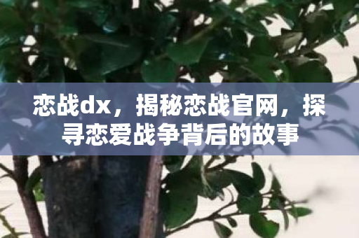 恋战dx，揭秘恋战官网，探寻恋爱战争背后的故事