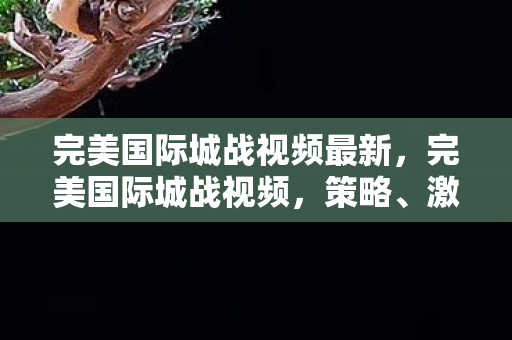 完美国际城战视频最新，完美国际城战视频，策略、激情与荣耀的交织