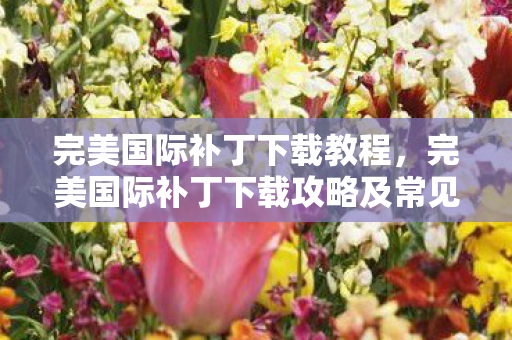 完美国际补丁下载教程，完美国际补丁下载攻略及常见问题解决方案