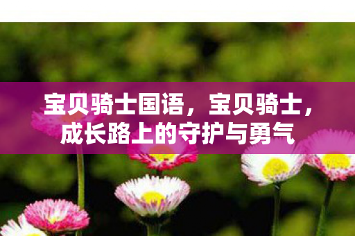 宝贝骑士国语,宝贝骑士,成长路上的守护与勇气 宝贝骑士国语,宝贝骑士,成长路上的守护与勇气