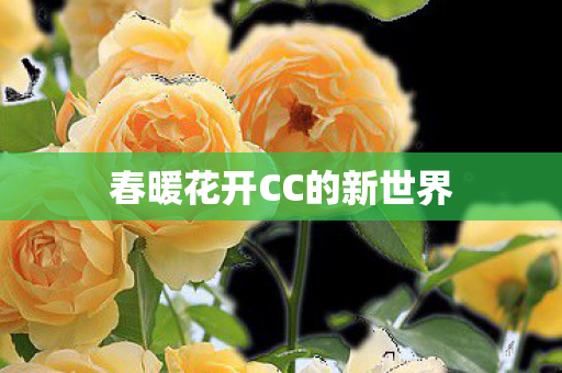 春暖花开CC的新世界