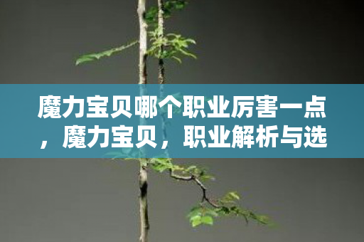 魔力宝贝哪个职业厉害一点,魔力宝贝,职业解析与选择指南—哪个职业最厉害? 魔力宝贝哪个职业厉害一点,魔力宝贝,职业解析与选择指南—哪个职业最厉害?