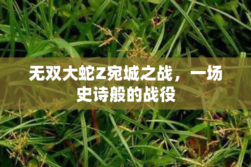 无双大蛇Z宛城之战，一场史诗般的战役