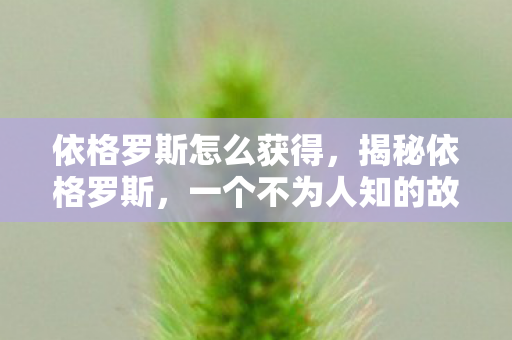 依格罗斯怎么获得,揭秘依格罗斯,一个不为人知的故事 依格罗斯怎么获得,揭秘依格罗斯,一个不为人知的故事