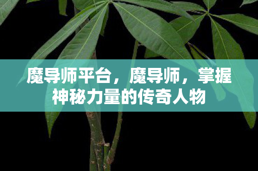 魔导师平台，魔导师，掌握神秘力量的传奇人物