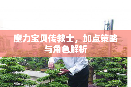 魔力宝贝传教士，加点策略与角色解析