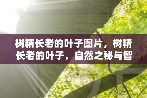 树精长老的叶子图片，树精长老的叶子，自然之秘与智慧传承的交织