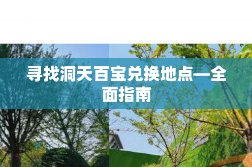 寻找洞天百宝兑换地点—全面指南