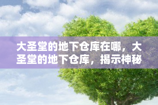 大圣堂的地下仓库在哪，大圣堂的地下仓库，揭示神秘面纱背后的秘密