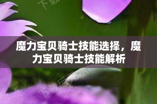 魔力宝贝骑士技能选择，魔力宝贝骑士技能解析