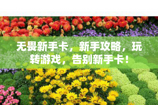 无畏新手卡,新手攻略,玩转游戏,告别新手卡! 无畏新手卡,新手攻略,玩转游戏,告别新手卡!