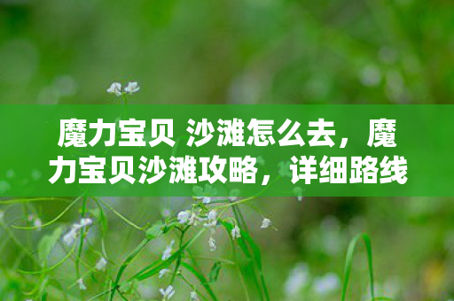 魔力宝贝 沙滩怎么去,魔力宝贝沙滩攻略,详细路线指引 魔力宝贝 沙滩怎么去,魔力宝贝沙滩攻略,详细路线指引