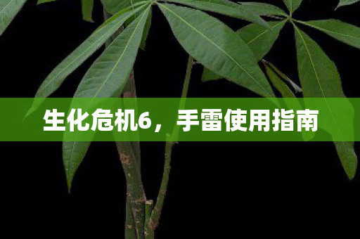 生化危机6，手雷使用指南
