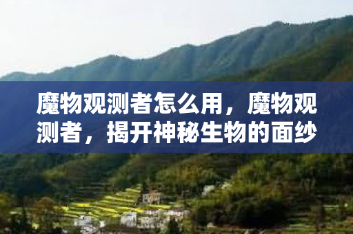 魔物观测者怎么用，魔物观测者，揭开神秘生物的面纱
