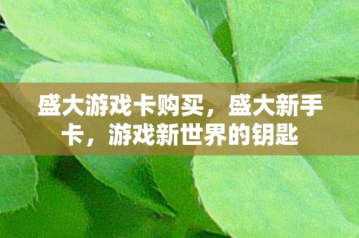 盛大游戏卡购买，盛大新手卡，游戏新世界的钥匙