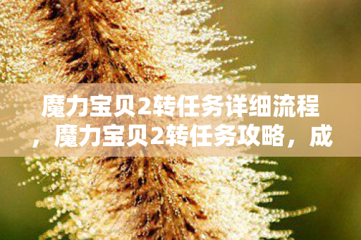魔力宝贝2转任务详细流程,魔力宝贝2转任务攻略,成为真正的勇者之旅 魔力宝贝2转任务详细流程,魔力宝贝2转任务攻略,成为真正的勇者之旅