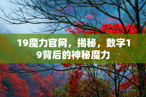 19魔力官网,揭秘,数字19背后的神秘魔力 19魔力官网,揭秘,数字19背后的神秘魔力