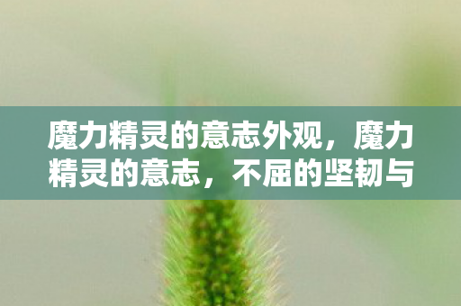 魔力精灵的意志外观,魔力精灵的意志,不屈的坚韧与无尽的勇气 魔力精灵的意志外观,魔力精灵的意志,不屈的坚韧与无尽的勇气