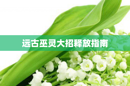 远古巫灵大招释放指南 远古巫灵大招释放指南