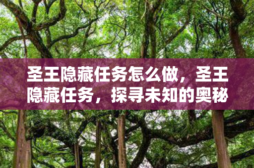 圣王隐藏任务怎么做，圣王隐藏任务，探寻未知的奥秘