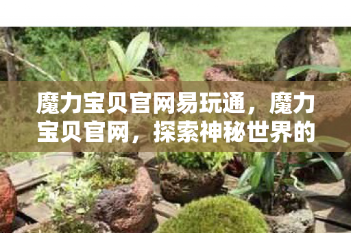 魔力宝贝官网易玩通，魔力宝贝官网，探索神秘世界的门户