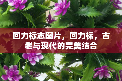 回力标志图片，回力标，古老与现代的完美结合