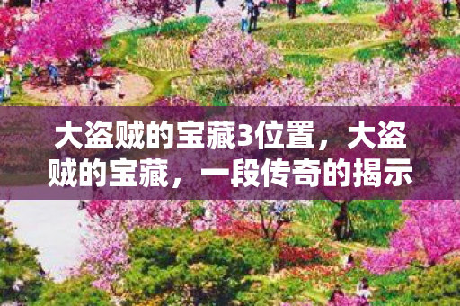 大盗贼的宝藏3位置，大盗贼的宝藏，一段传奇的揭示