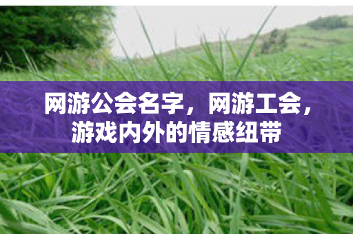 网游公会名字，网游工会，游戏内外的情感纽带