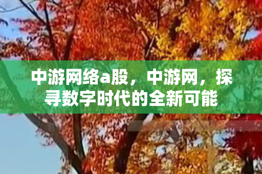 中游网络a股，中游网，探寻数字时代的全新可能