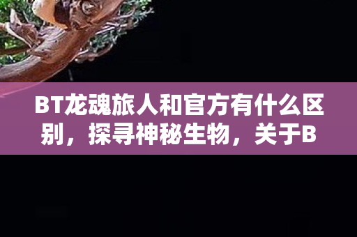 BT龙魂旅人和官方有什么区别，探寻神秘生物，关于BT龙的传说与真相