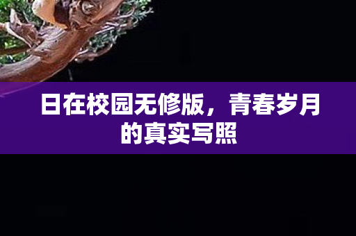 日在校园无修版,青春岁月的真实写照 日在校园无修版,青春岁月的真实写照