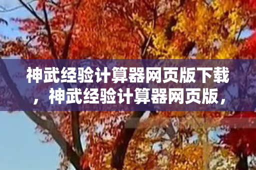 神武经验计算器网页版下载，神武经验计算器网页版，助力你的游戏成长