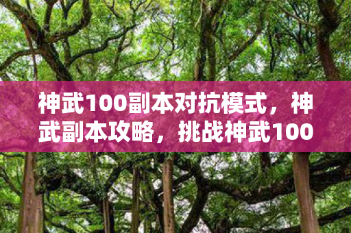 神武100副本对抗模式，神武副本攻略，挑战神武100副本，勇闯难关！