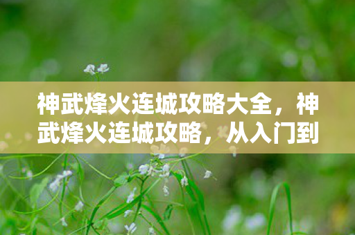 神武烽火连城攻略大全，神武烽火连城攻略，从入门到精通