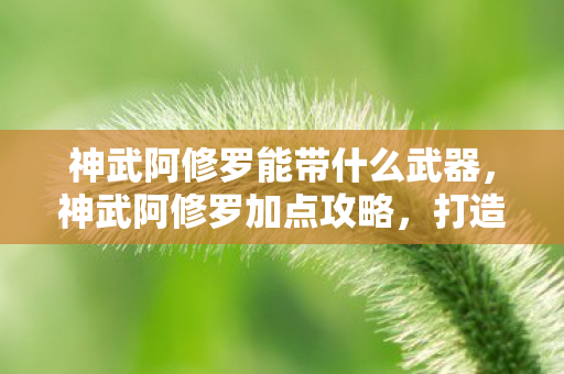 神武阿修罗能带什么武器,神武阿修罗加点攻略,打造无敌战神 神武阿修罗能带什么武器,神武阿修罗加点攻略,打造无敌战神