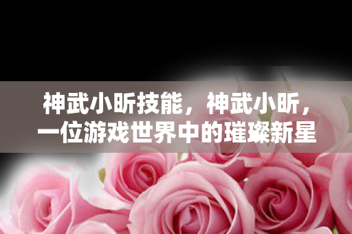 神武小昕技能,神武小昕,一位游戏世界中的璀璨新星 神武小昕技能,神武小昕,一位游戏世界中的璀璨新星