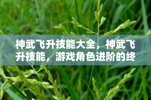 神武飞升技能大全，神武飞升技能，游戏角色进阶的终极秘诀