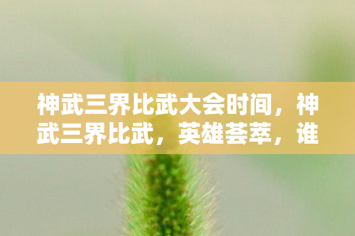 神武三界比武大会时间,神武三界比武,英雄荟萃,谁主沉浮? 神武三界比武大会时间,神武三界比武,英雄荟萃,谁主沉浮?