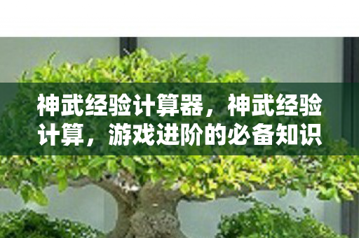 神武经验计算器，神武经验计算，游戏进阶的必备知识