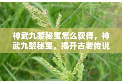 神武九黎秘宝怎么获得，神武九黎秘宝，揭开古老传说中的神秘宝藏
