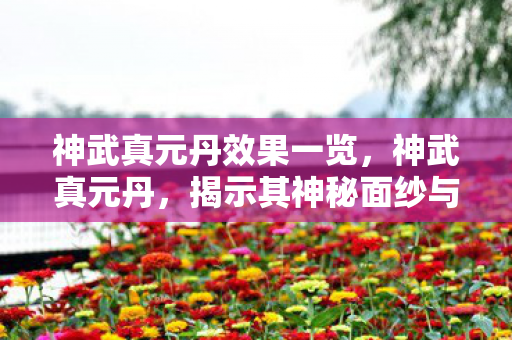 神武真元丹效果一览,神武真元丹,揭示其神秘面纱与无尽威力 神武真元丹效果一览,神武真元丹,揭示其神秘面纱与无尽威力